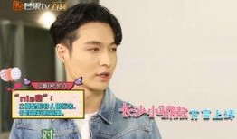 娱乐圈吃瓜爆料张艺兴,娱乐圈风云中的青春偶像